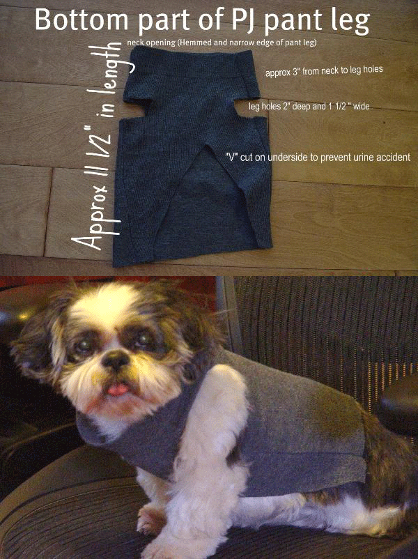Áo ấm cho cún